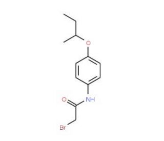2-Bromo-N-[4-(sec-butoxy)phenyl]acetamide - chemical structure image