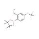 2-(Bromomethyl)-4-(trifluoromethoxy)benzeneboronic acid, pinacol ester 的分子结构, CAS编号: 957066-13-6 2-(Bromomethyl)-4-(trifluoromethoxy)benzeneboronic acid, pinacol ester (CAS 957066-13-6) - chemical structure image