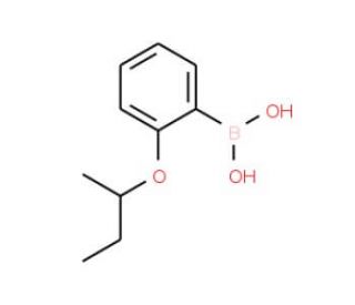 [2-(butan-2-yloxy)phenyl]boranediol - chemical structure image