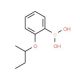 [2-(butan-2-yloxy)phenyl]boranediol - chemical structure image