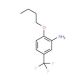 2-Butoxy-5-(trifluoromethyl)aniline - chemical structure image