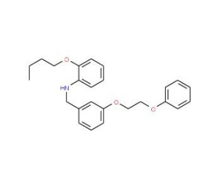 2-Butoxy-N-[3-(2-phenoxyethoxy)benzyl]aniline - chemical structure image