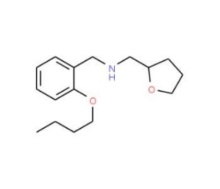 (2-Butoxyphenyl)-N-(tetrahydro-2-furanylmethyl)methanamine - chemical structure image