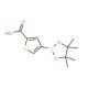 2-Carboxythiophene-4-boronic acid pinacol ester (CAS 1010836-19-7) - chemical structure image