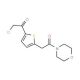 2-chloro-1-[5-(2-morpholin-4-yl-2-oxoethyl)thien-2-yl]ethanone - chemical structure image