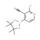 2-Chloro-3-cyanopyridine-4-boronic acid pinacol ester (CAS 878194-94-6) - chemical structure image