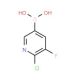 2-Chloro-3-fluoropyridine-5-boronic acid (CAS 1072946-66-7) - chemical structure image