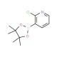 2-Chloro-3-pyridineboronic acid pinacol ester (CAS 452972-11-1) - chemical structure image