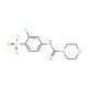 2-Chloro-4-[(morpholine-4-carbonyl)-amino]-benzene sulfonyl chloride - chemical structure image