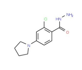 2-Chloro-4-(1-pyrrolidinyl)benzenecarbohydrazide - chemical structure image