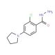 2-Chloro-4-(1-pyrrolidinyl)benzenecarbohydrazide - chemical structure image