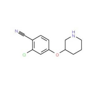 2-Chloro-4-(3-piperidinyloxy)benzonitrile (CAS 902836-92-4) - chemical structure image