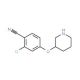 2-Chloro-4-(3-piperidinyloxy)benzonitrile (CAS 902836-92-4) - chemical structure image