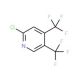 2-Chloro-4,5-bis-(trifluoromethyl)pyridine (CAS 109919-25-7) - chemical structure image
