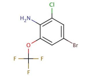 2-Chloro-4-bromo-6-trifluoromethoxyaniline (CAS 885266-98-8) - chemical structure image