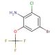 2-Chloro-4-bromo-6-trifluoromethoxyaniline (CAS 885266-98-8) - chemical structure image