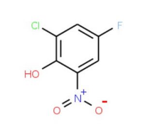 2-Chloro-4-fluoro-6-nitrophenol (CAS 58348-98-4) - chemical structure image