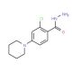 2-Chloro-4-piperidinobenzenecarbohydrazide - chemical structure image