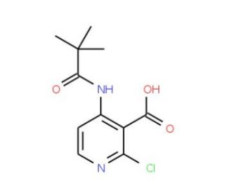 2-Chloro-4-pivalamidonicotinic acid (CAS 1021339-24-1) - chemical structure image