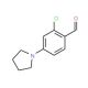 2-Chloro-4-pyrrolidin-1-yl-benzaldehyde - chemical structure image