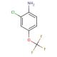 2-Chloro-4-(trifluoromethoxy)aniline (CAS 69695-61-0) - chemical structure image
