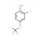 2-Chloro-4-trifluoromethoxyphenol (CAS 70783-75-4) - chemical structure image
