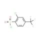 2-Chloro-4-(trifluoromethyl)benzenesulfonyl chloride (CAS 175205-54-6) - chemical structure image