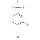 2-Chloro-4-trifluoromethylbenzonitrile (CAS 1813-33-8) - chemical structure image
