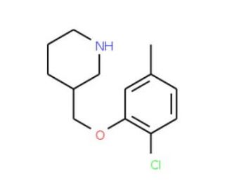 2-Chloro-5-methylphenyl 3-piperidinylmethyl ether - chemical structure image
