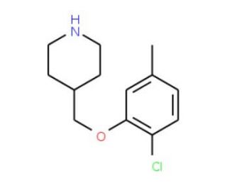2-Chloro-5-methylphenyl 4-piperidinylmethyl ether - chemical structure image