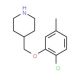 2-Chloro-5-methylphenyl 4-piperidinylmethyl ether - chemical structure image