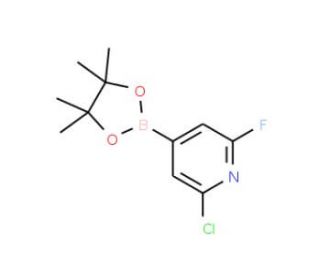 2-Chloro-6-fluoropyridine-4-boronic acid, pinacol ester (CAS 1146615-89-5) - chemical structure image