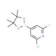 2-Chloro-6-fluoropyridine-4-boronic acid, pinacol ester (CAS 1146615-89-5) - chemical structure image