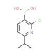 2-Chloro-6-isopropylpyridine-3-boronic acid (CAS 1003043-37-5) - chemical structure image