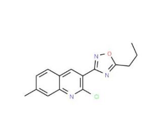2-Chloro-7-methyl-3-(5-propyl-1,2,4-oxadiazol-3-yl)quinoline (CAS 1142201-66-8) - chemical structure image