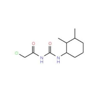 2-chloro-N-{[(2,3-dimethylcyclohexyl)amino]carbonyl}acetamide - chemical structure image