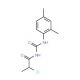 2-chloro-N-{[(2,4-dimethylphenyl)amino]carbonyl}propanamide - chemical structure image