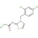 2-chloro-N-[(2Z)-3-(2,4-dichlorobenzyl)-1,3-thiazol-2(3H)-ylidene]acetamide - chemical structure image