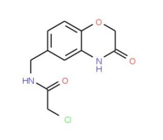 2-chloro-N-[(3-oxo-3,4-dihydro-2H-1,4-benzoxazin-6-yl)methyl]acetamide - chemical structure image