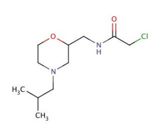 2-chloro-N-[(4-isobutylmorpholin-2-yl)methyl]acetamide - chemical structure image