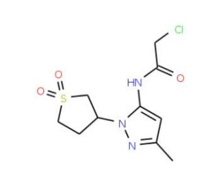 2-chloro-N-[1-(1,1-dioxidotetrahydrothien-3-yl)-3-methyl-1H-pyrazol-5-yl]acetamide - chemical structure image