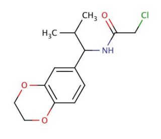 2-chloro-N-[1-(2,3-dihydro-1,4-benzodioxin-6-yl)-2-methylpropyl]acetamide - chemical structure image