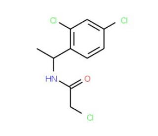 2-chloro-N-[1-(2,4-dichlorophenyl)ethyl]acetamide - chemical structure image