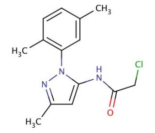 2-chloro-N-[1-(2,5-dimethylphenyl)-3-methyl-1H-pyrazol-5-yl]acetamide - chemical structure image