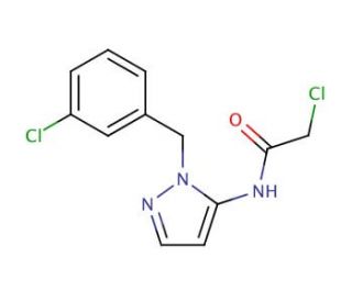 2-chloro-N-[1-(3-chlorobenzyl)-1H-pyrazol-5-yl]acetamide - chemical structure image