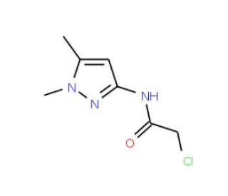 2-Chloro-N-(1,5-dimethyl-1H-pyrazol-3-yl)-acetamide - chemical structure image