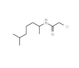 2-chloro-N-(1,5-dimethylhexyl)acetamide - chemical structure image