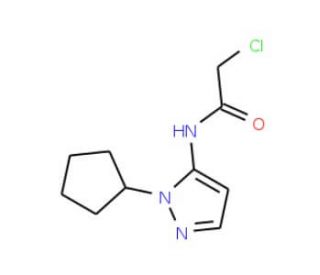 2-chloro-N-(1-cyclopentyl-1H-pyrazol-5-yl)acetamide - chemical structure image