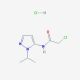 2-chloro-N-(1-isopropyl-1H-pyrazol-5-yl)acetamide hydrochloride (CAS 1171453-82-9) - chemical structure image