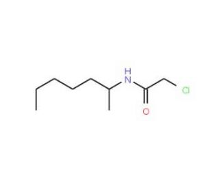 2-chloro-N-(1-methylhexyl)acetamide - chemical structure image